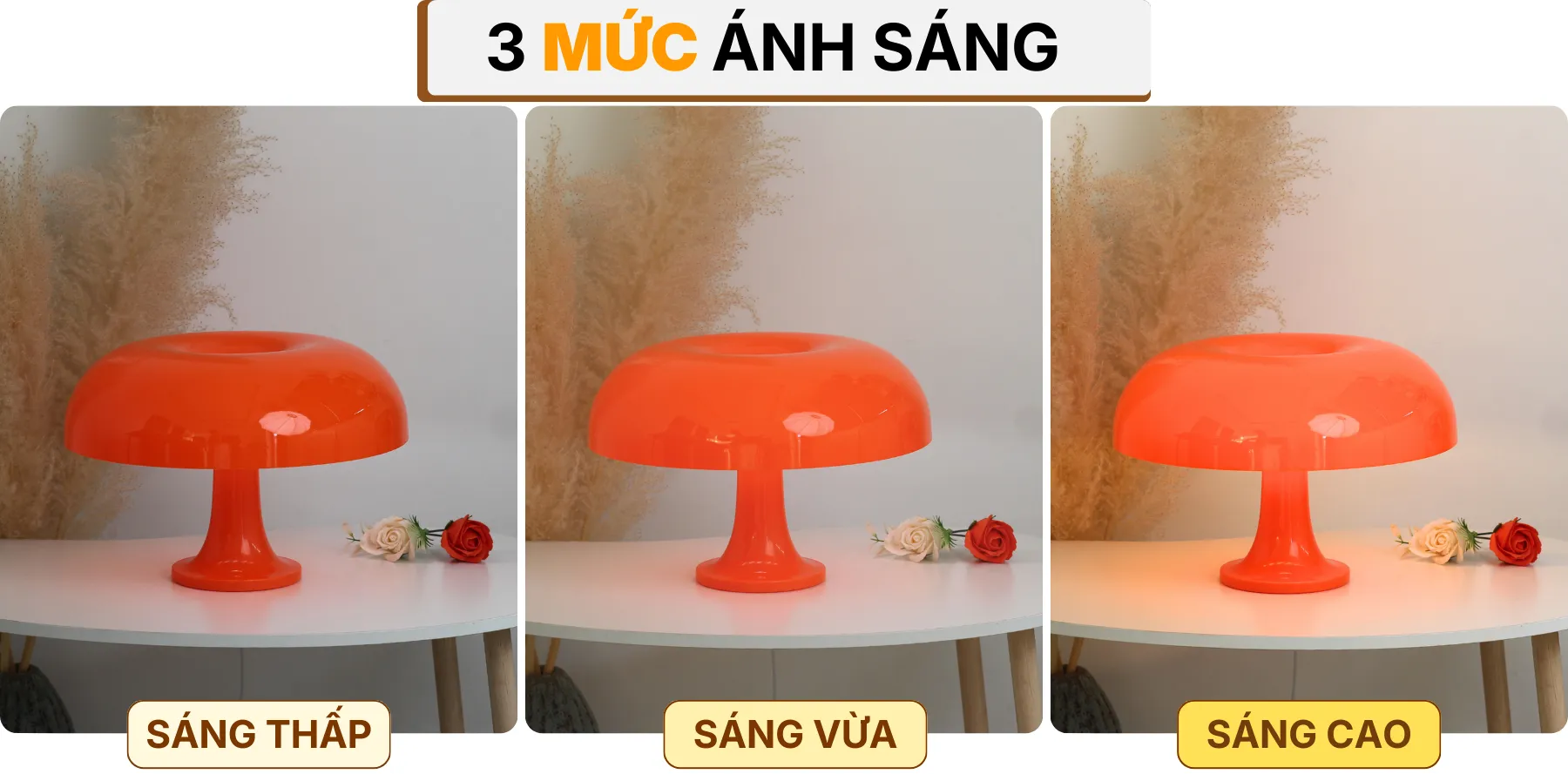 4. HIỆU ỨNG ÁNH SÁNG ĐÈN BÀN TRANG TRÍ LUMO