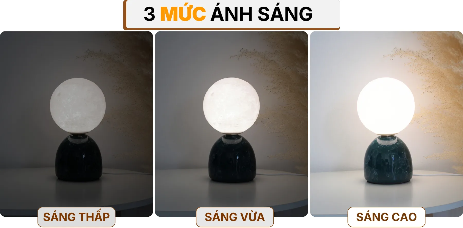 4. HIỆU ỨNG ÁNH SÁNG ĐÈN BÀN TRANG TRÍ MT2