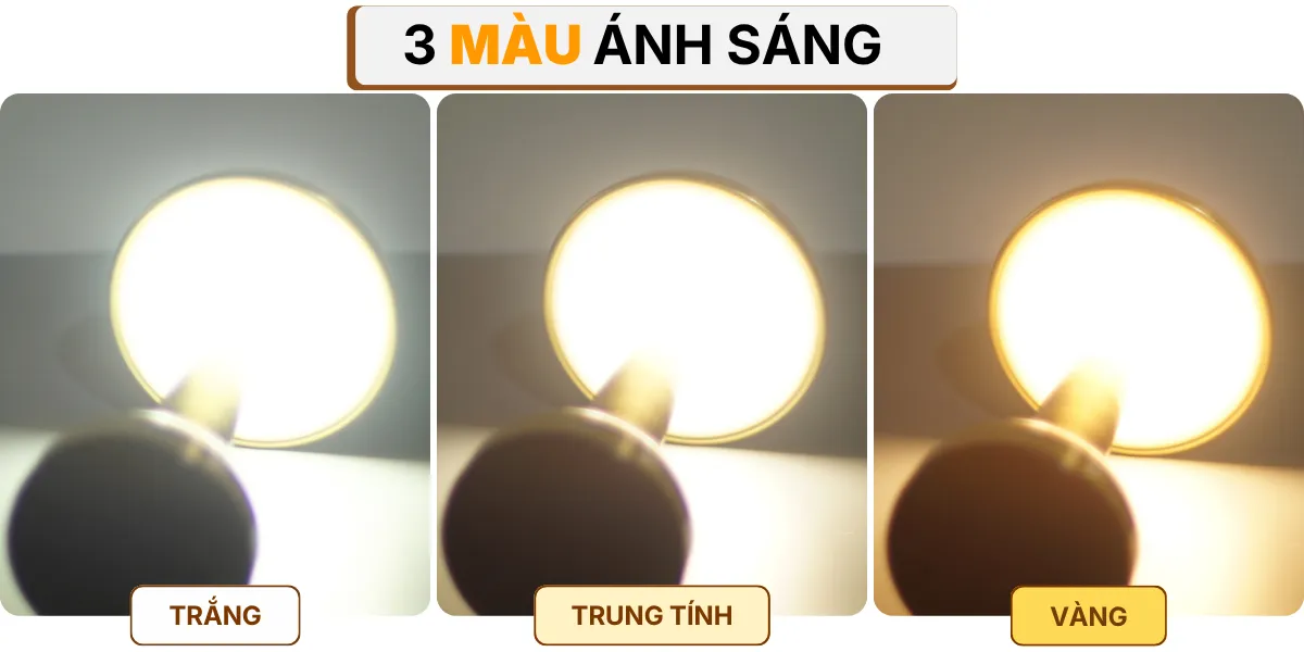 4. HIỆU ỨNG ÁNH SÁNG ĐÈN BÀN TRANG TRÍ RESDIA2