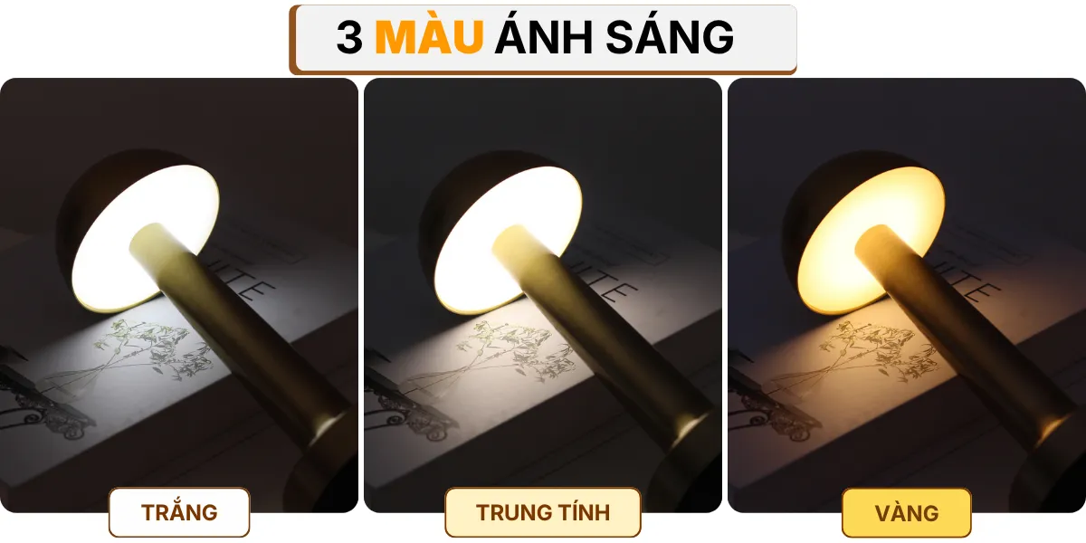 4. HIỆU ỨNG ÁNH SÁNG ĐÈN BÀN TRANG TRÍ RESNON