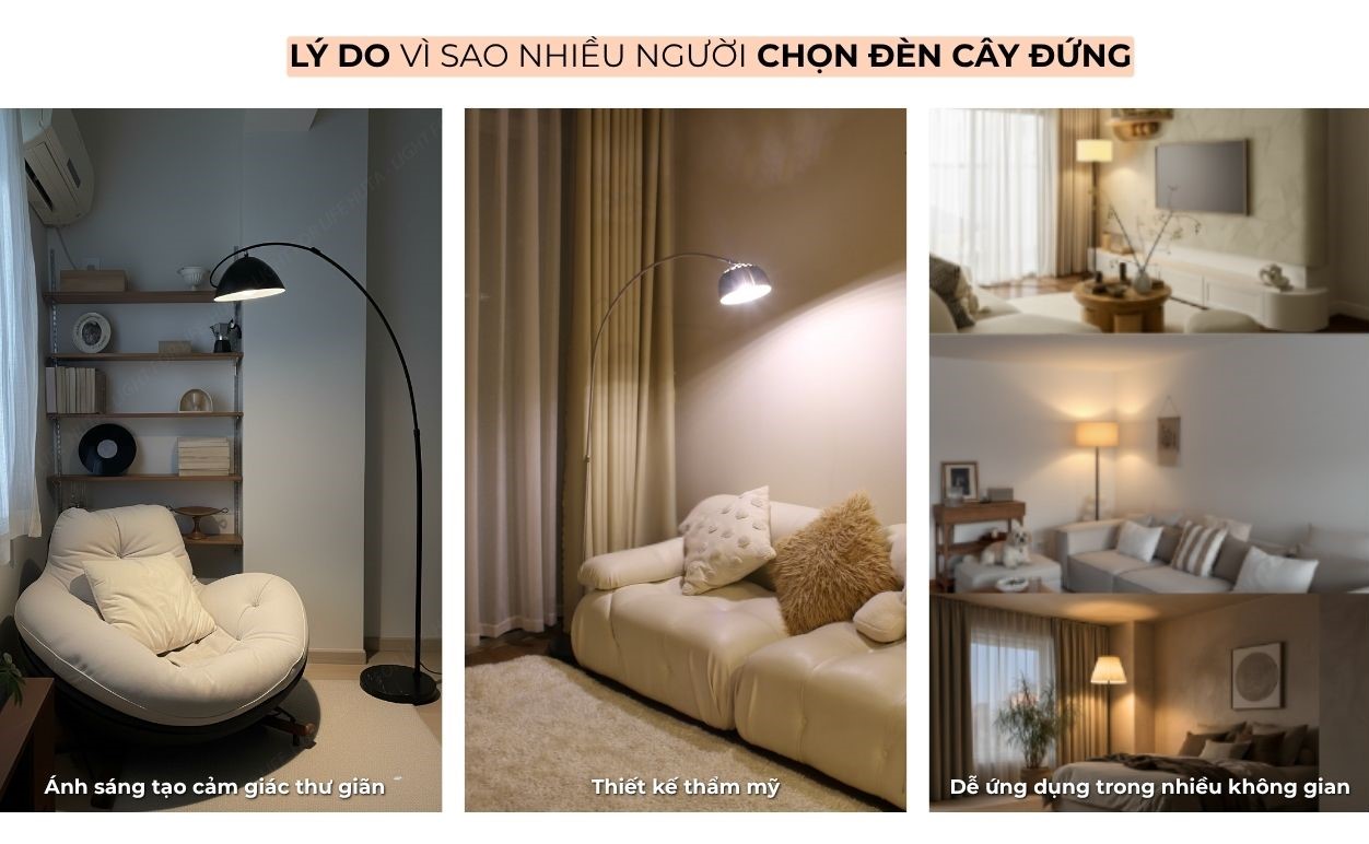 2. VÌ SAO ĐÈN CÂY ĐỨNG ĐƯỢC ƯA CHUỘNG?