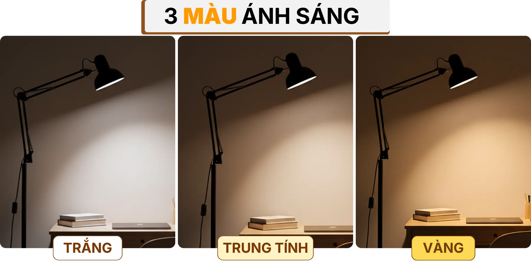 4. HIỆU ỨNG ÁNH SÁNG ĐÈN CÂY ĐỨNG ĐÈN SÀN KC1