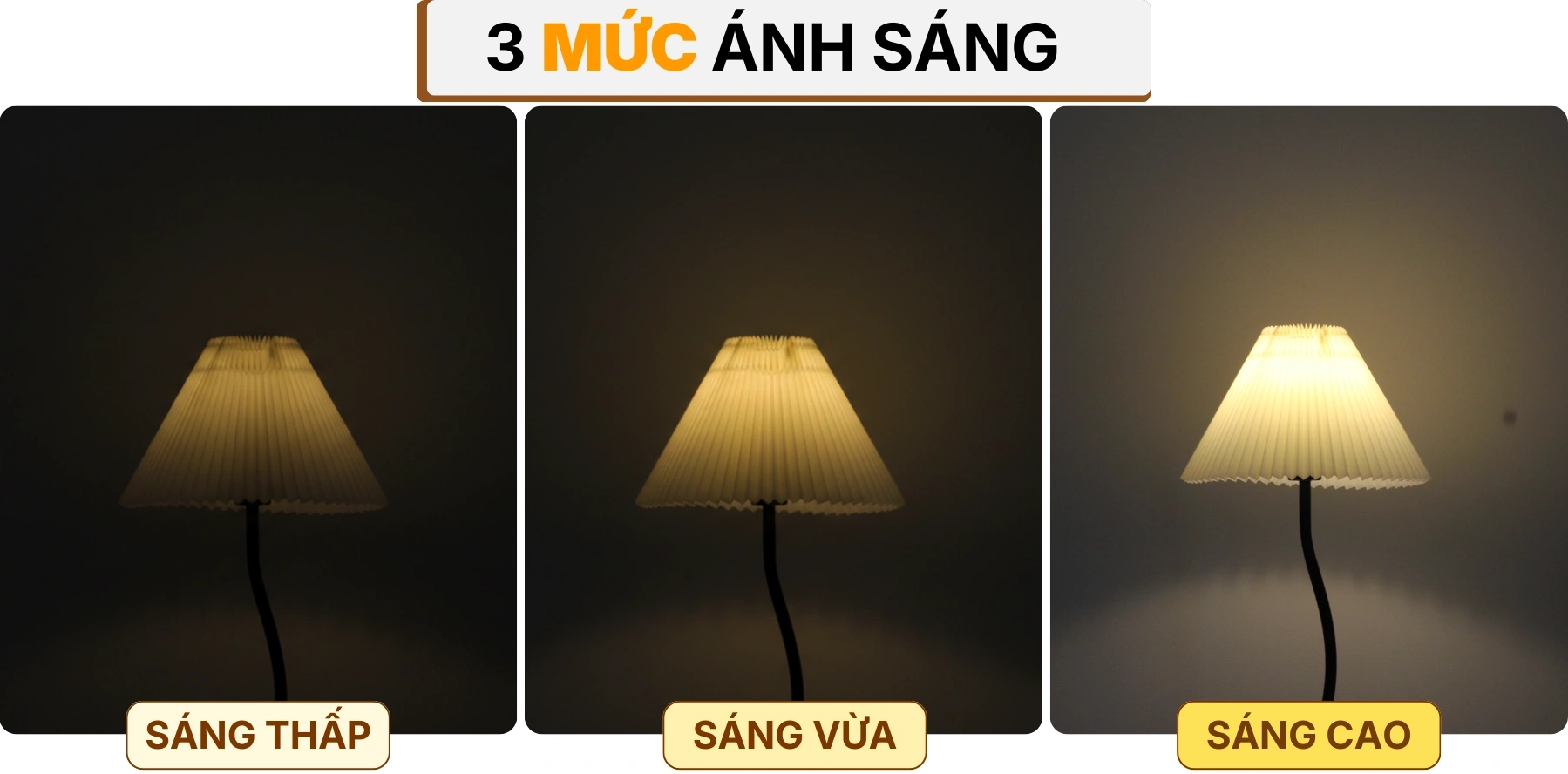 4. HIỆU ỨNG ÁNH SÁNG ĐÈN CÂY ĐỨNG ĐÈN SÀN KC10