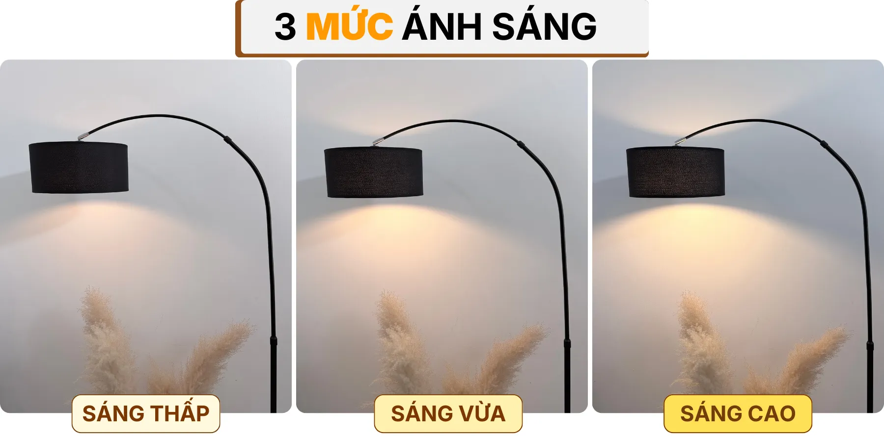 4. HIỆU ỨNG ÁNH SÁNG ĐÈN CÂY ĐỨNG ĐÈN SÀN KC2