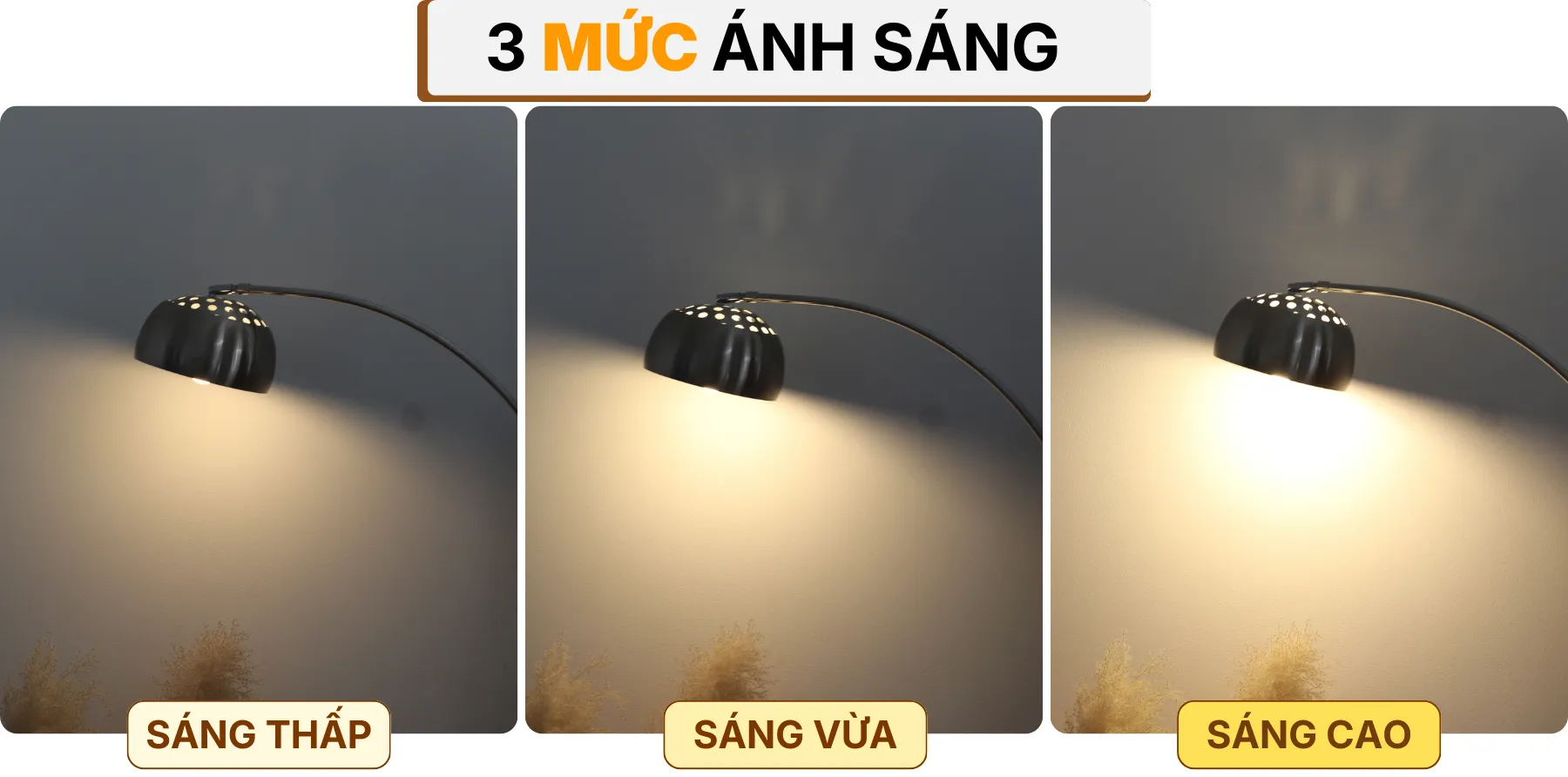 4. HIỆU ỨNG ÁNH SÁNG ĐÈN CÂY ĐỨNG ĐÈN SÀN KC3