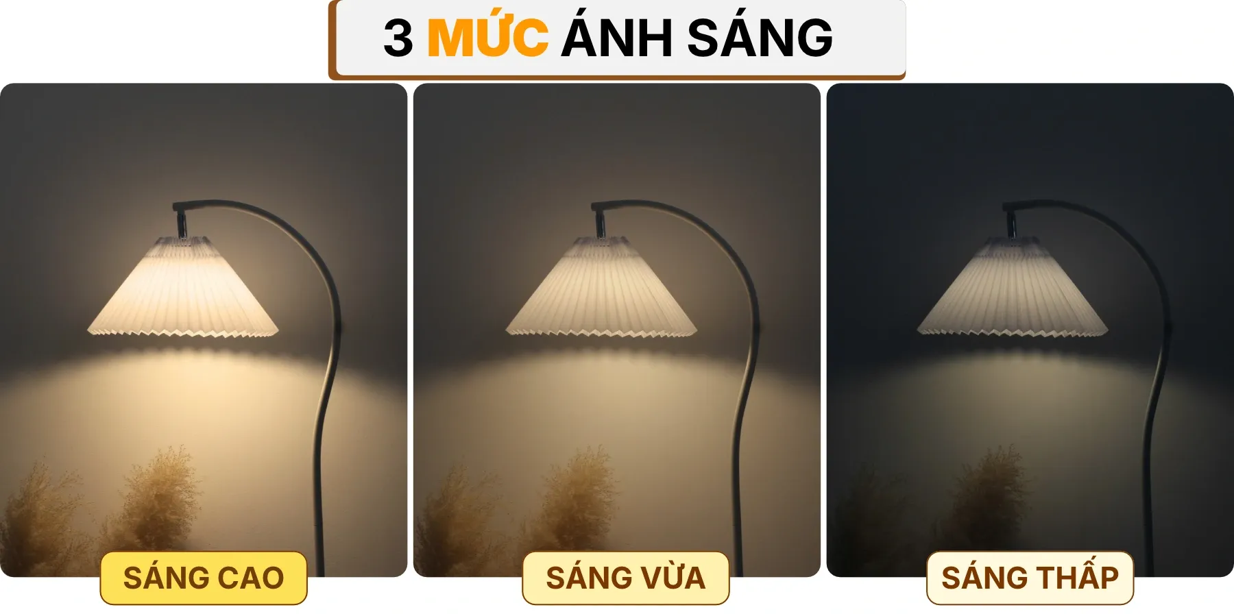 4. HIỆU ỨNG ÁNH SÁNG ĐÈN CÂY ĐỨNG ĐÈN SÀN KC6