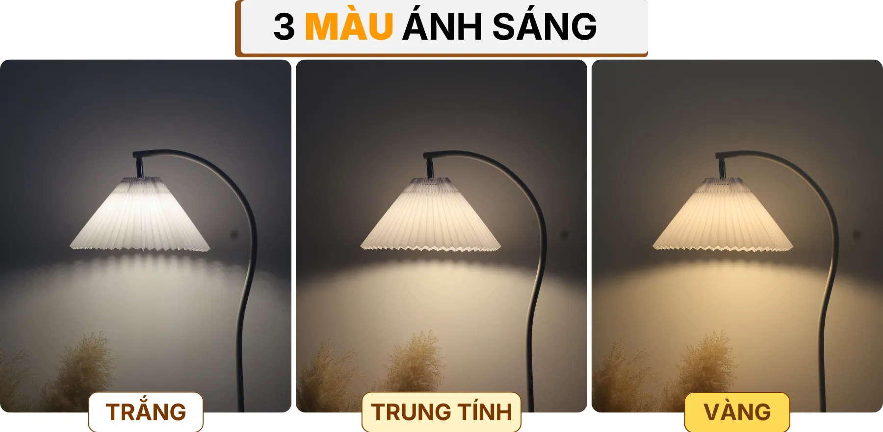 4. HIỆU ỨNG ÁNH SÁNG ĐÈN CÂY ĐỨNG ĐÈN SÀN KC6