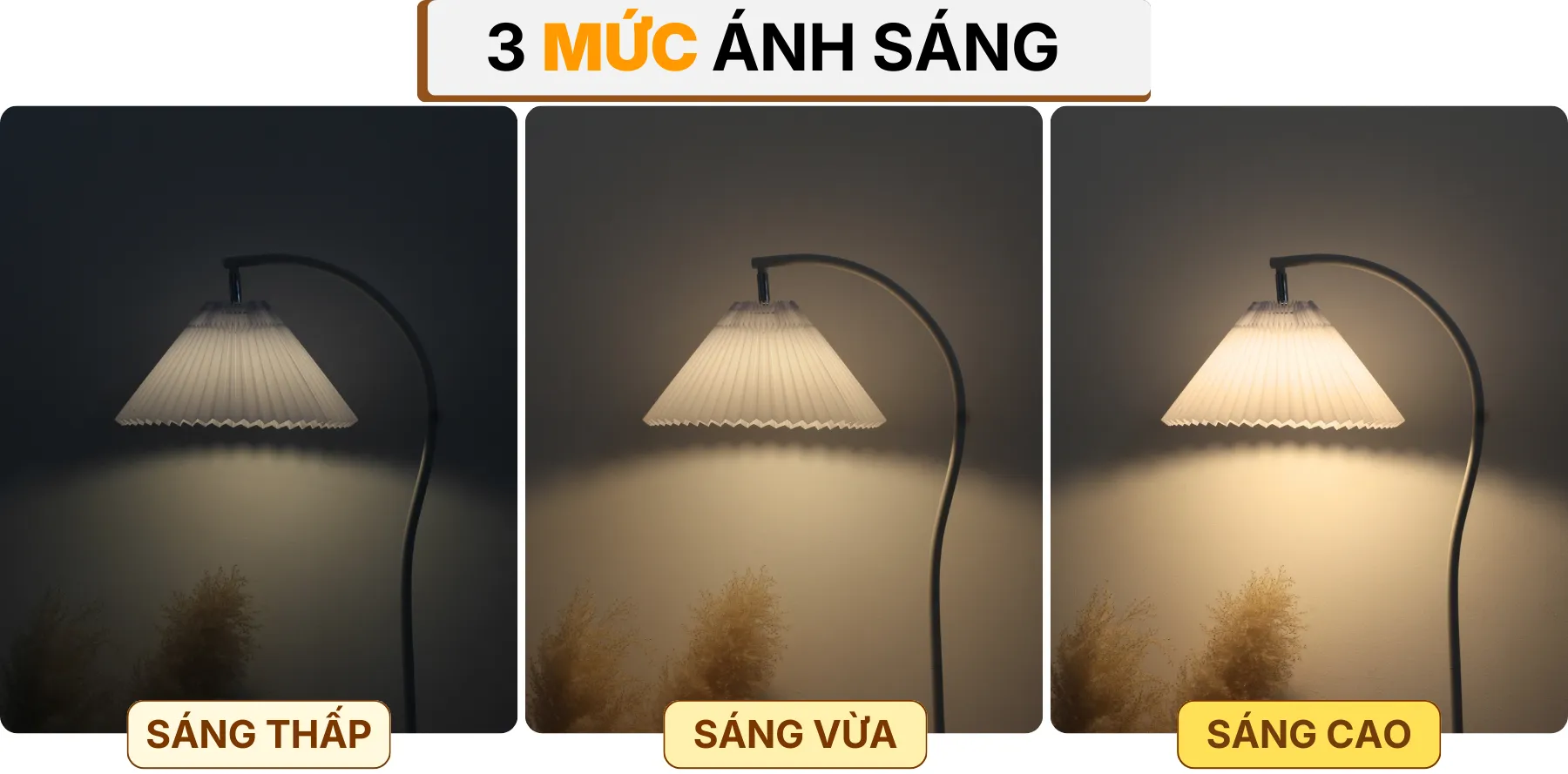 4. HIỆU ỨNG ÁNH SÁNG ĐÈN CÂY ĐỨNG ĐÈN SÀN KC6