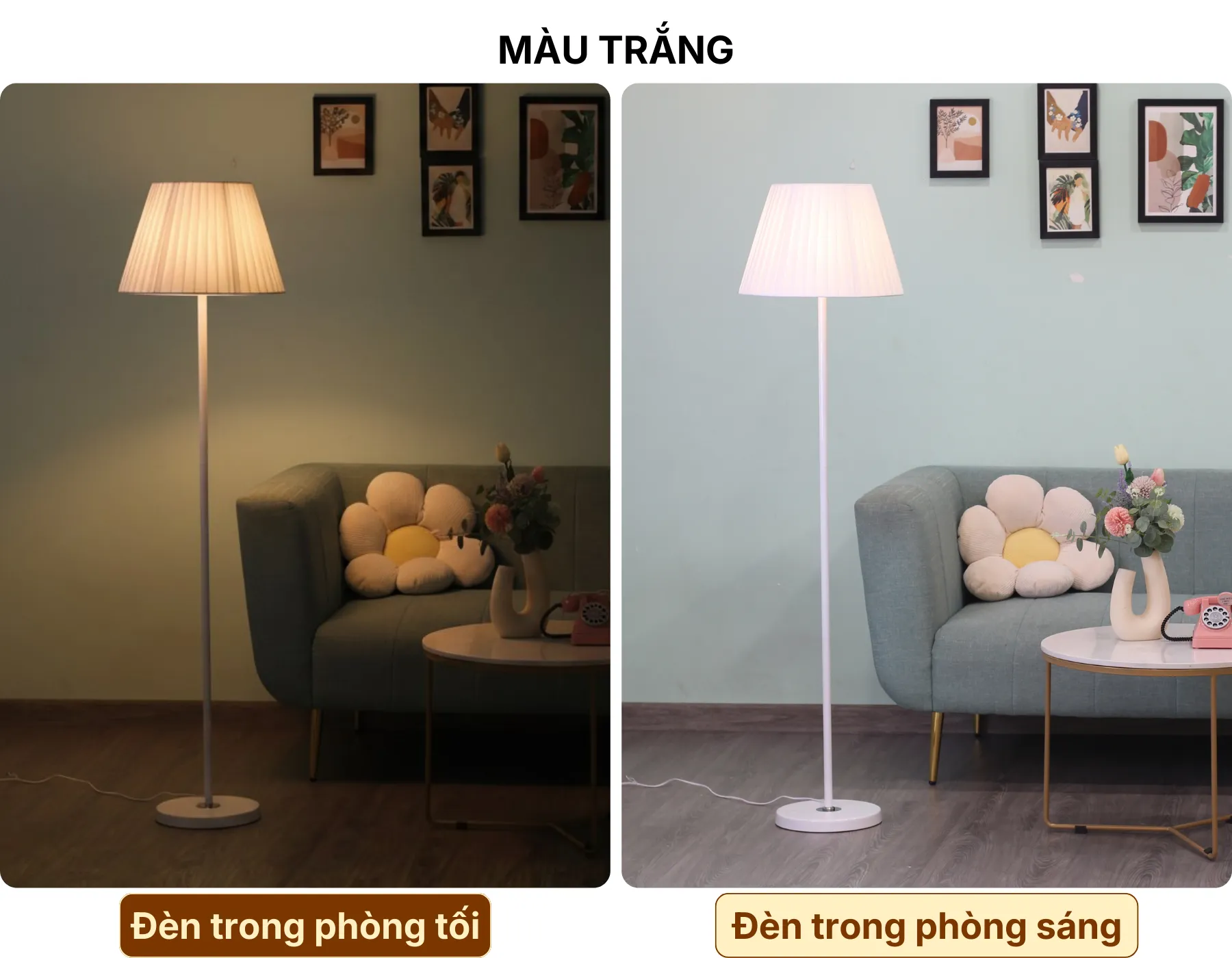 4. HIỆU ỨNG ÁNH SÁNG ĐÈN CÂY ĐỨNG ĐÈN SÀN KT1