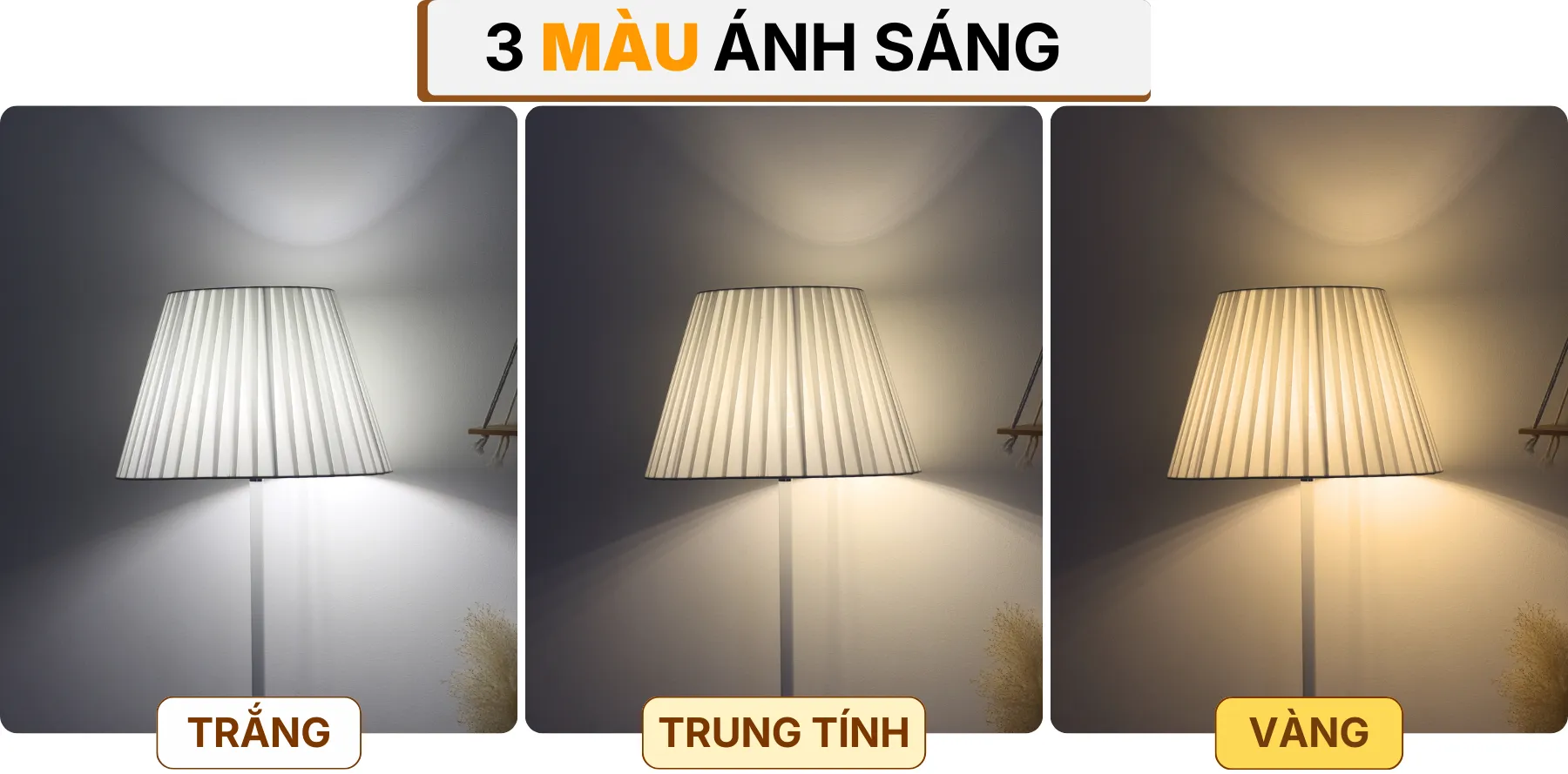 4. HIỆU ỨNG ÁNH SÁNG ĐÈN CÂY ĐỨNG ĐÈN SÀN KT1