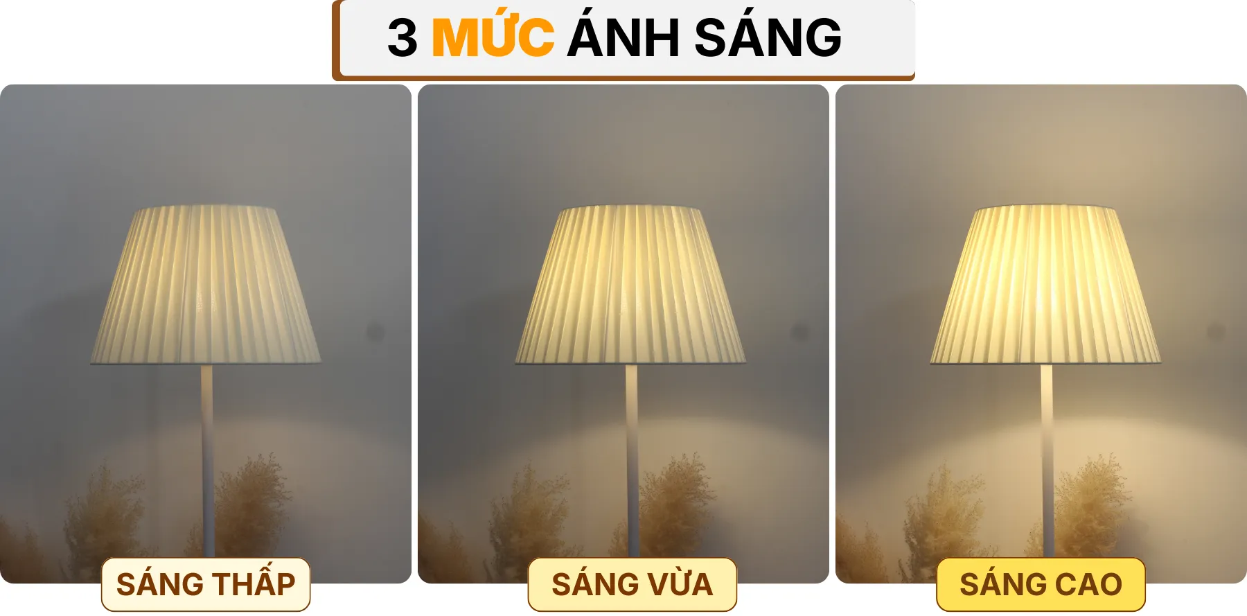 4. HIỆU ỨNG ÁNH SÁNG ĐÈN CÂY ĐỨNG ĐÈN SÀN KT1