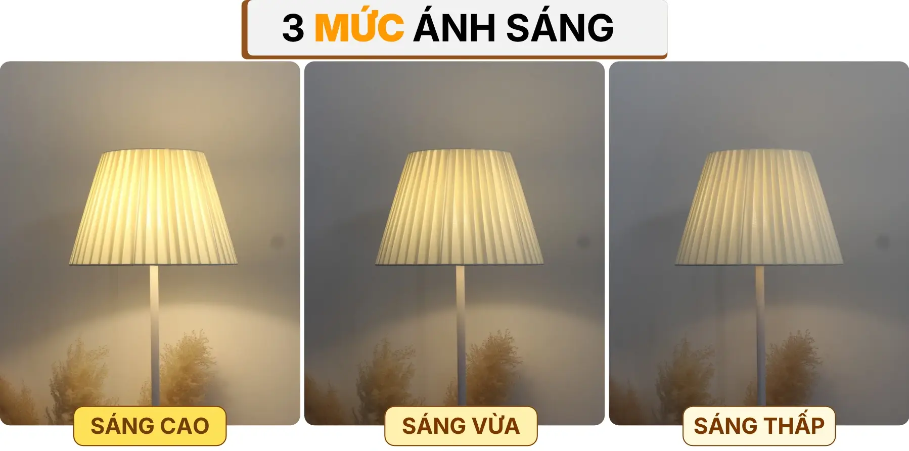 4. HIỆU ỨNG ÁNH SÁNG ĐÈN CÂY ĐỨNG ĐÈN SÀN KT1