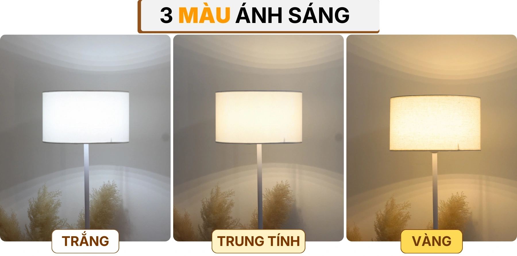 4. HIỆU ỨNG ÁNH SÁNG ĐÈN CÂY ĐỨNG ĐÈN SÀN KT4