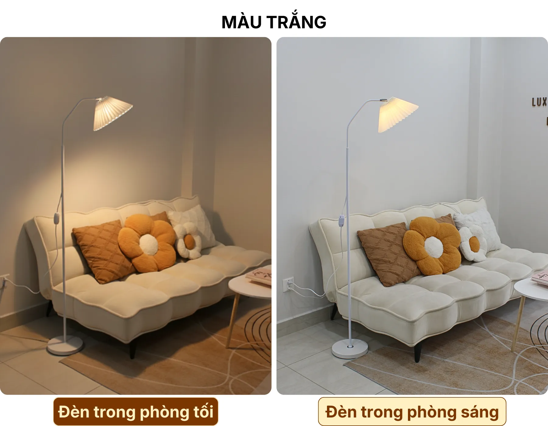 4. HIỆU ỨNG ÁNH SÁNG ĐÈN CÂY ĐỨNG ĐÈN SÀN KT6