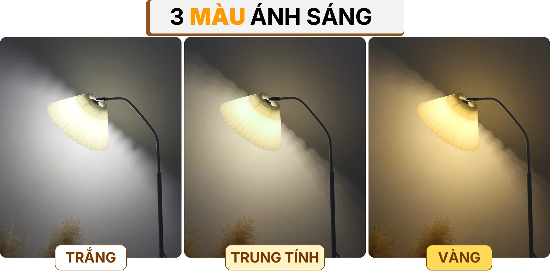 4. HIỆU ỨNG ÁNH SÁNG ĐÈN CÂY ĐỨNG ĐÈN SÀN KT6
