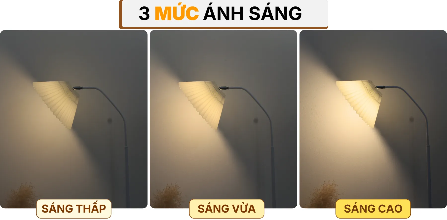 4. HIỆU ỨNG ÁNH SÁNG ĐÈN CÂY ĐỨNG ĐÈN SÀN KT6