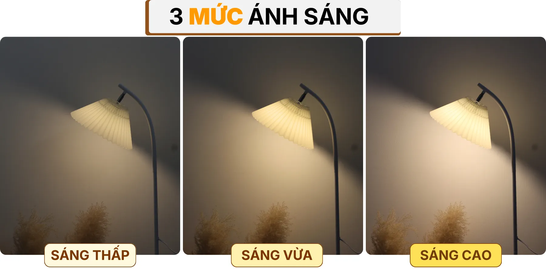 4. HIỆU ỨNG ÁNH SÁNG ĐÈN CÂY ĐỨNG ĐÈN SÀN KT7