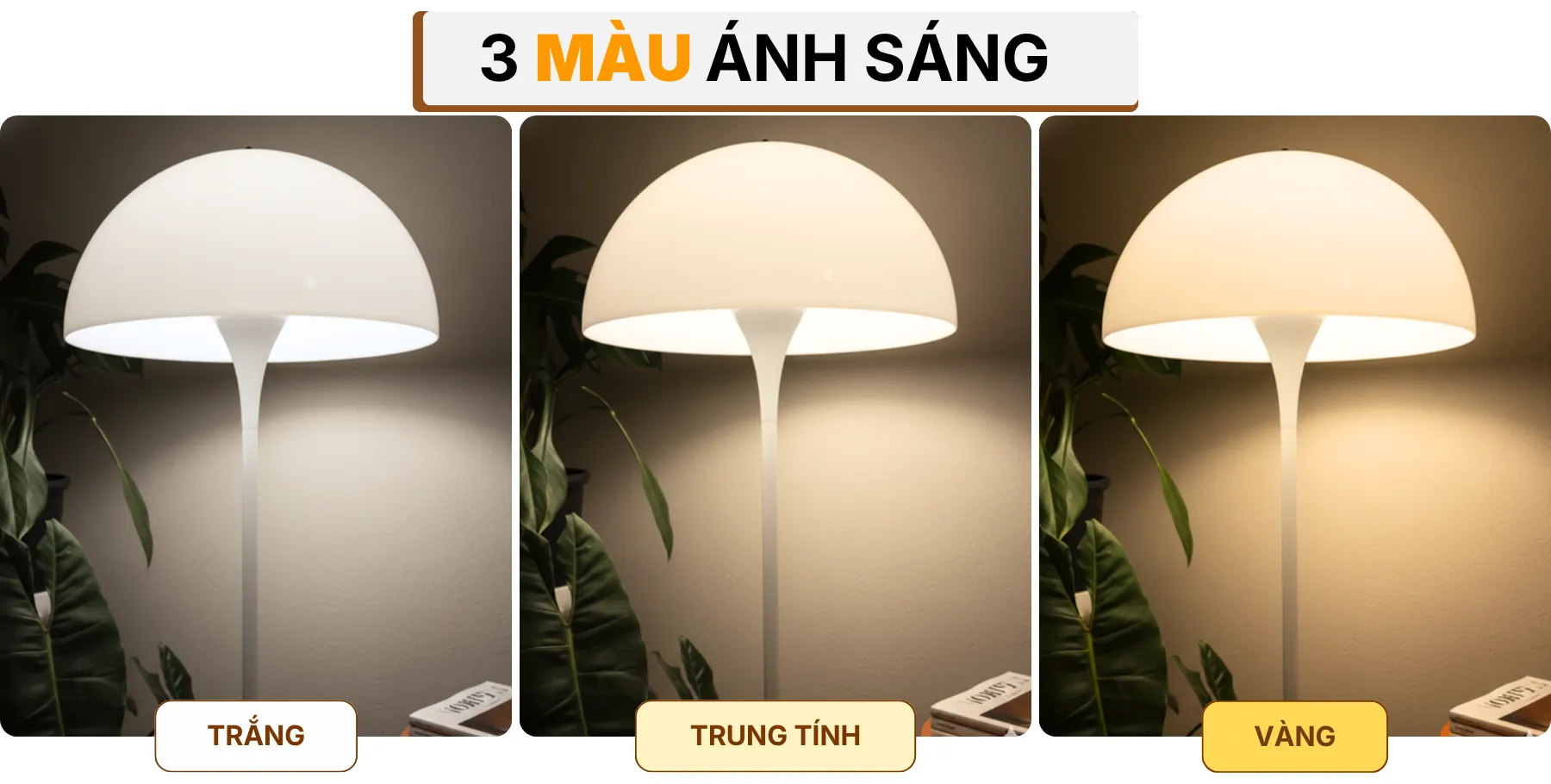 4. HIỆU ỨNG ÁNH SÁNG ĐÈN CÂY ĐỨNG ĐÈN SÀN KT10