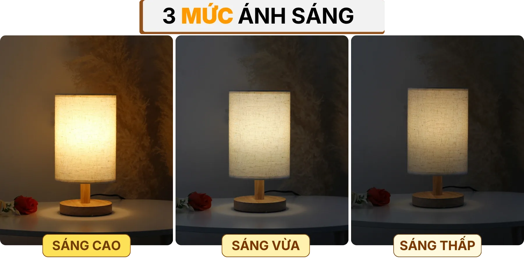 4. HIỆU ỨNG ÁNH SÁNG ĐÈN NGỦ ĐỂ BÀN G1