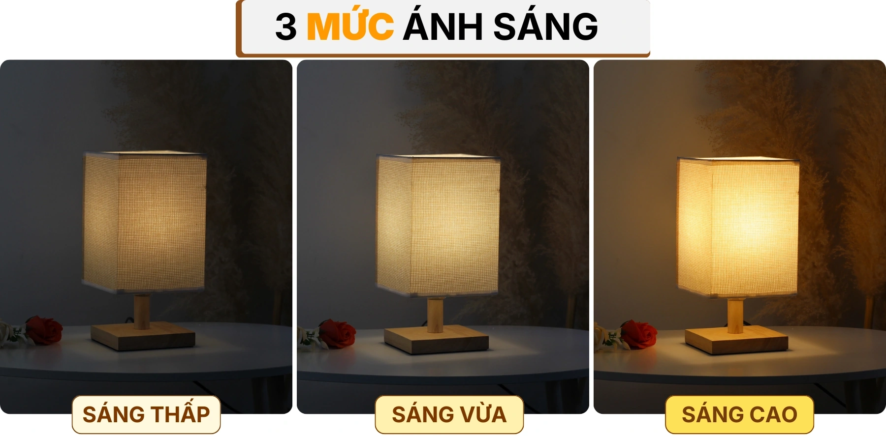 4. HIỆU ỨNG ÁNH SÁNG ĐÈN NGỦ ĐỂ BÀN G3