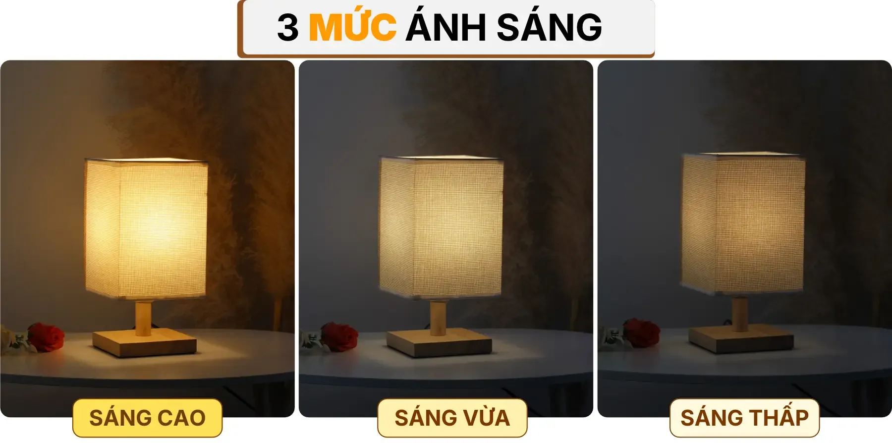 4. HIỆU ỨNG ÁNH SÁNG ĐÈN NGỦ ĐỂ BÀN G3