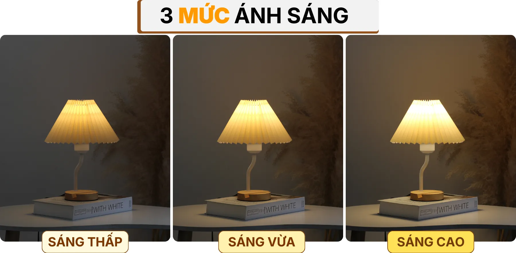 4. HIỆU ỨNG ÁNH SÁNG ĐÈN NGỦ ĐỂ BÀN G8