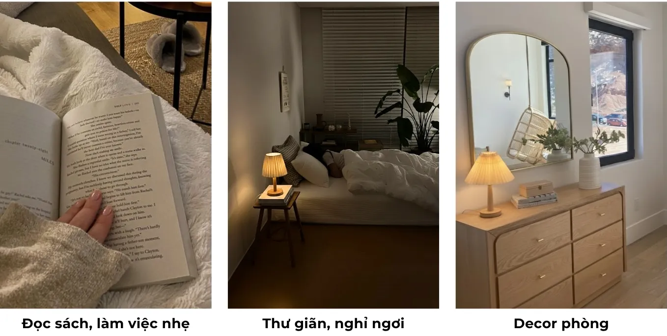 3.2. Mục đích sử dụng