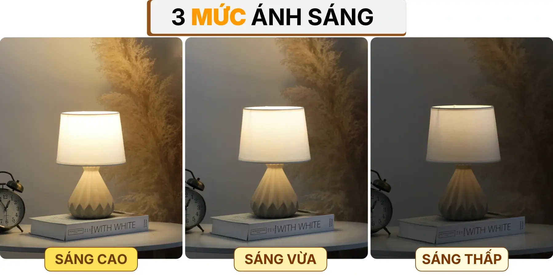 4. HIỆU ỨNG ÁNH SÁNG ĐÈN NGỦ ĐỂ BÀN S13