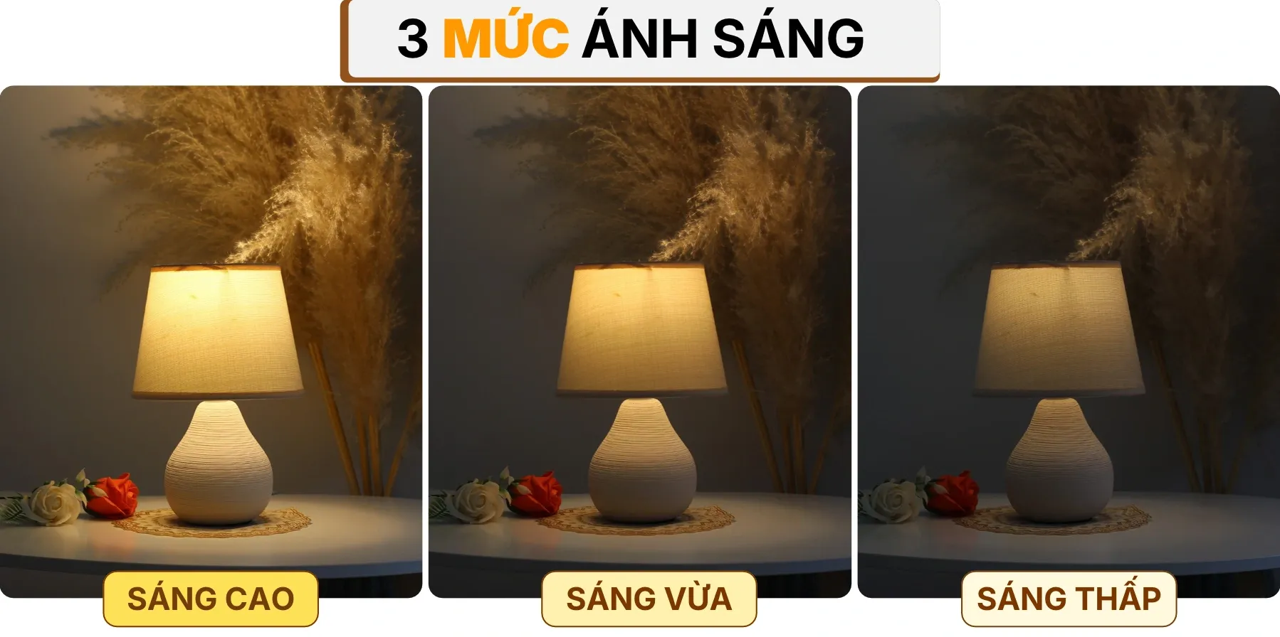 4. HIỆU ỨNG ÁNH SÁNG ĐÈN NGỦ ĐỂ BÀN S1