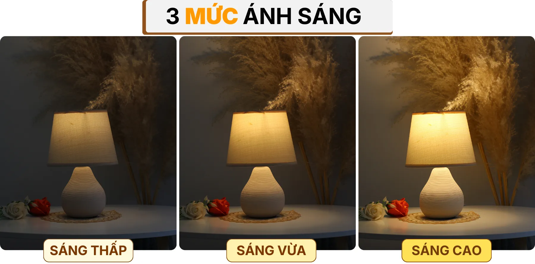 4. HIỆU ỨNG ÁNH SÁNG ĐÈN NGỦ ĐỂ BÀN S1