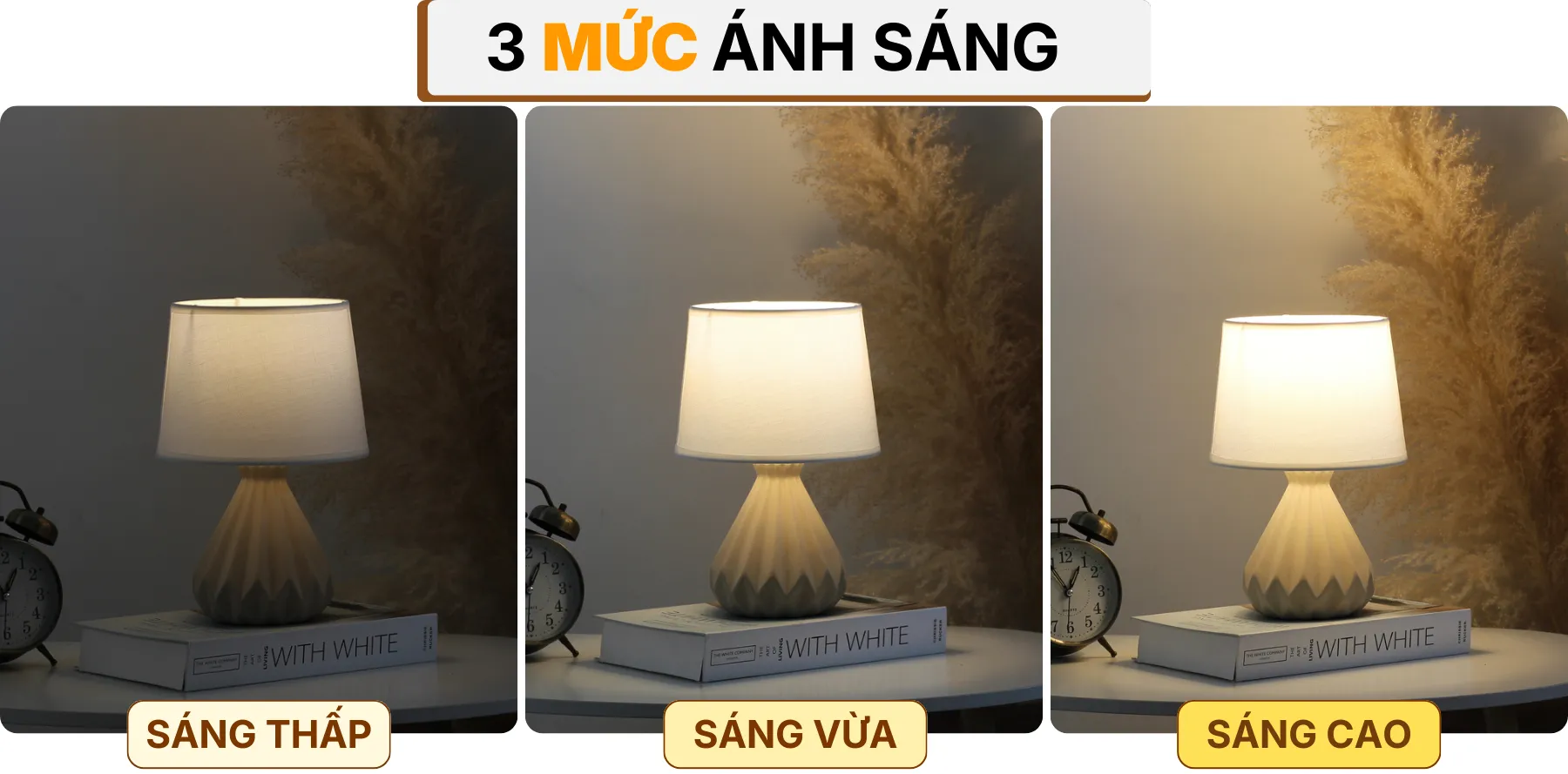 4. HIỆU ỨNG ÁNH SÁNG ĐÈN NGỦ ĐỂ BÀN S13