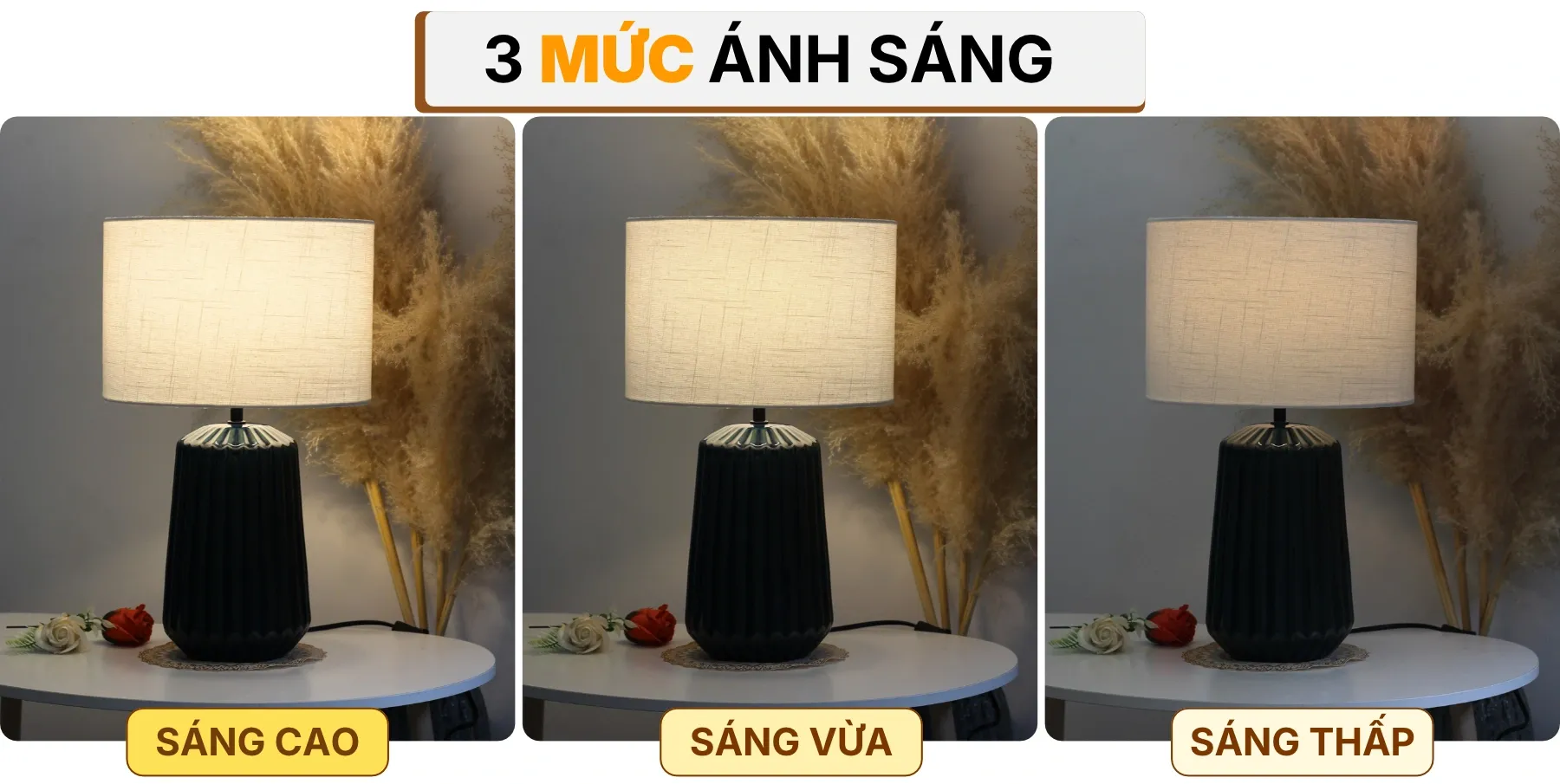 4. HIỆU ỨNG ÁNH SÁNG ĐÈN NGỦ ĐỂ BÀN S17
