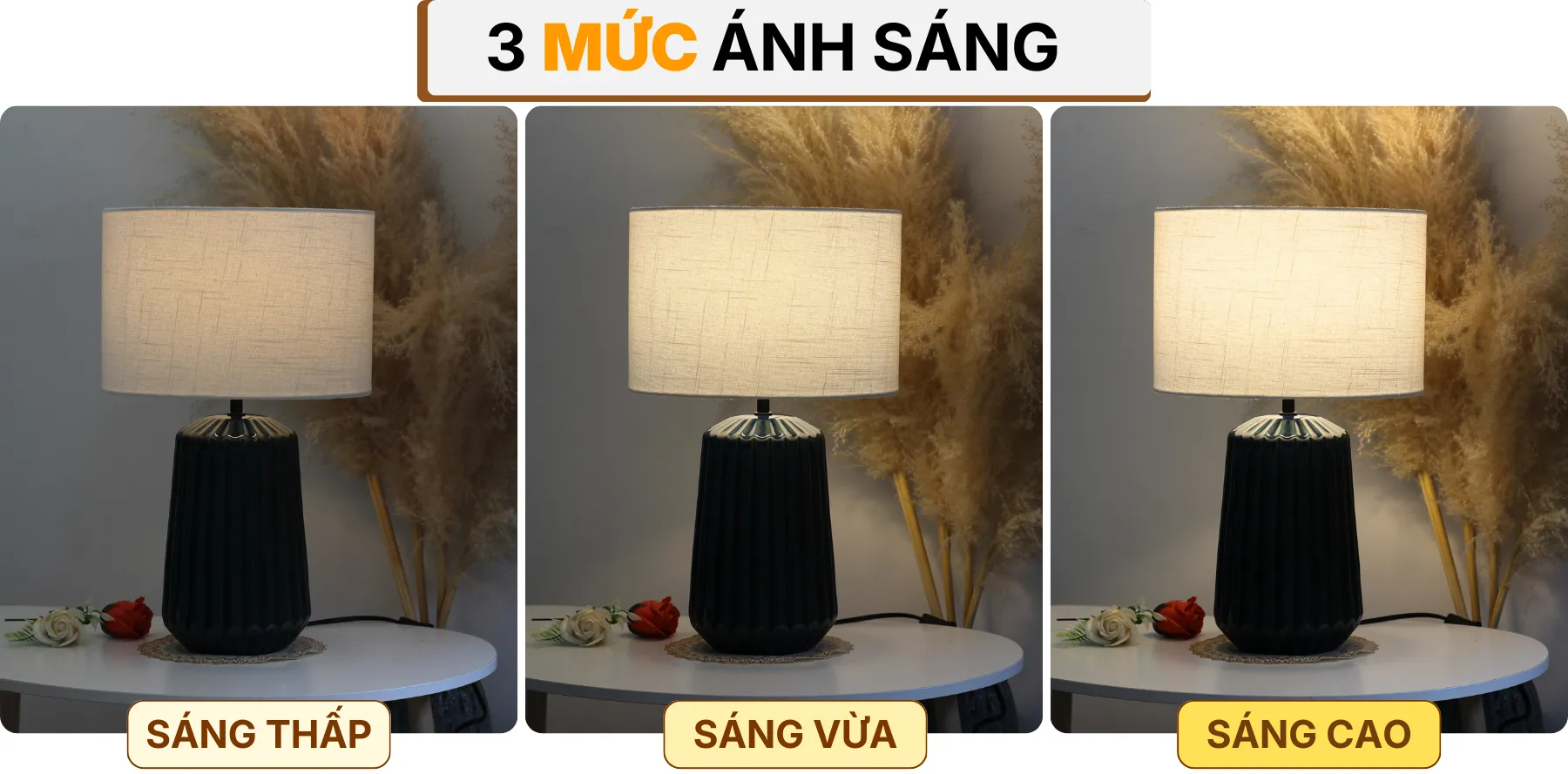 4. HIỆU ỨNG ÁNH SÁNG ĐÈN NGỦ ĐỂ BÀN S17
