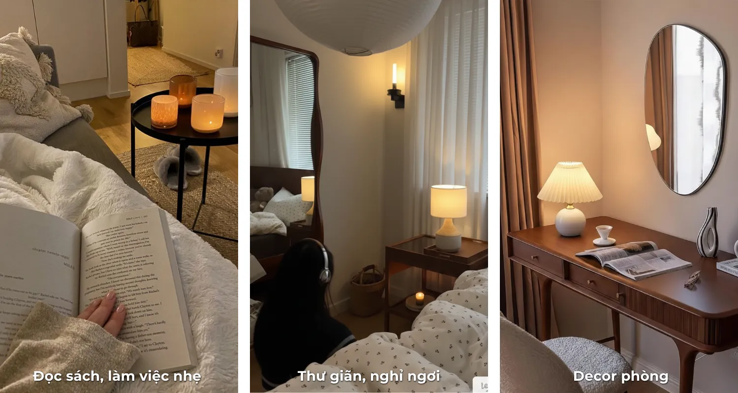 3.2. Mục đích sử dụng