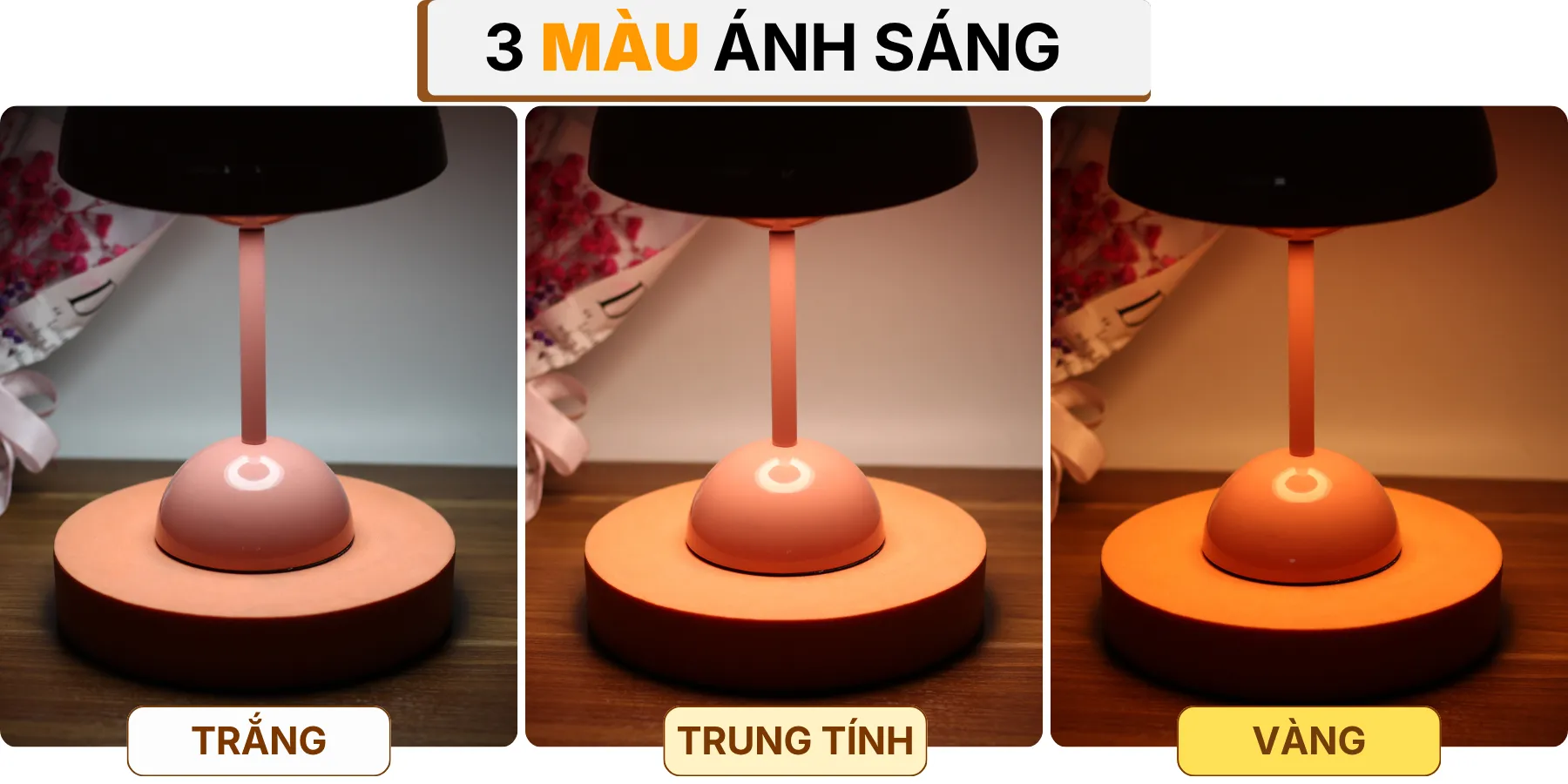 4. HIỆU ỨNG ÁNH SÁNG ĐÈN NGỦ ĐỂ BÀN BEDNAM