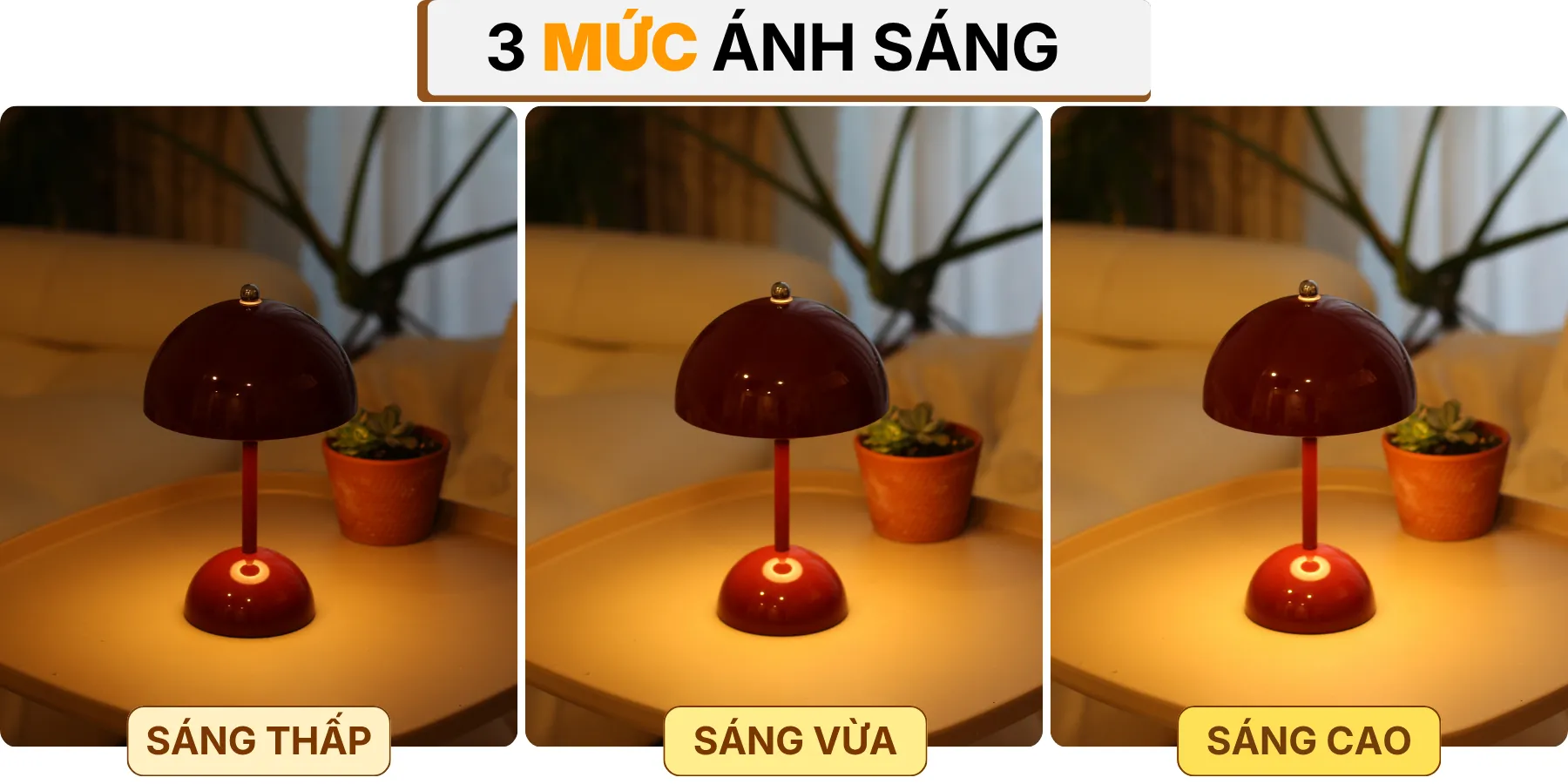 4. HIỆU ỨNG ÁNH SÁNG ĐÈN NGỦ ĐỂ BÀN BEDNAM