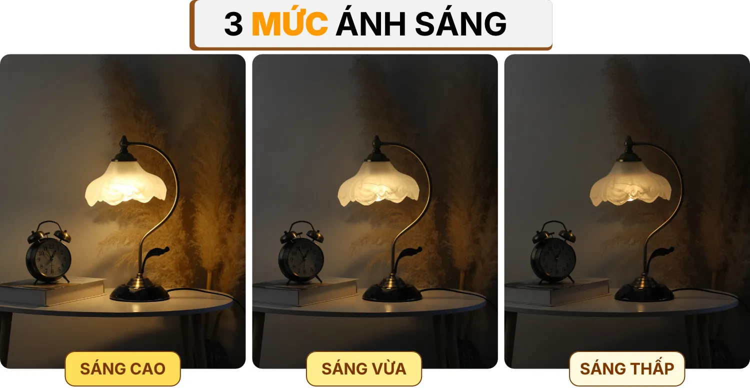 4. HIỆU ỨNG ÁNH SÁNG ĐÈN NGỦ ĐỂ BÀN CD2