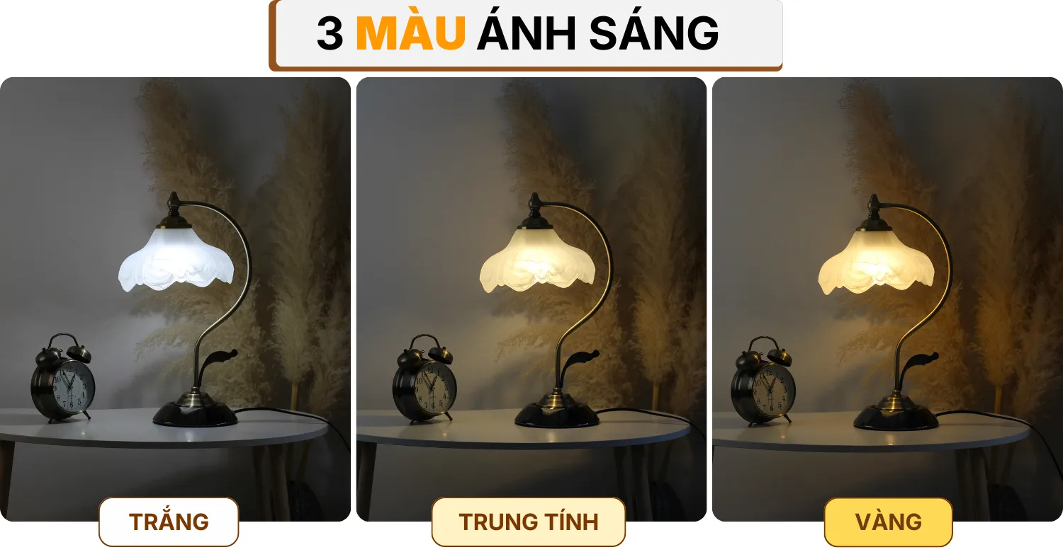 4. HIỆU ỨNG ÁNH SÁNG ĐÈN NGỦ ĐỂ BÀN CD2