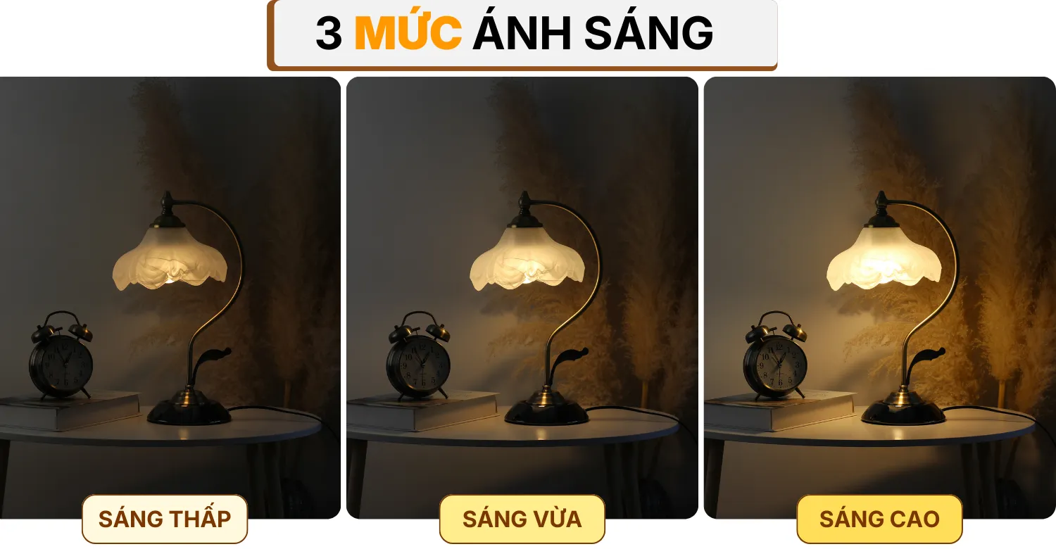 4. HIỆU ỨNG ÁNH SÁNG ĐÈN NGỦ ĐỂ BÀN CD2