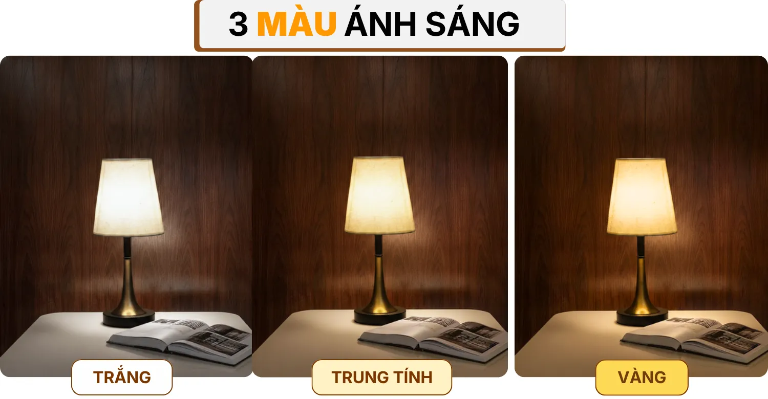 4. HIỆU ỨNG ÁNH SÁNG ĐÈN NGỦ ĐỂ BÀN T5S