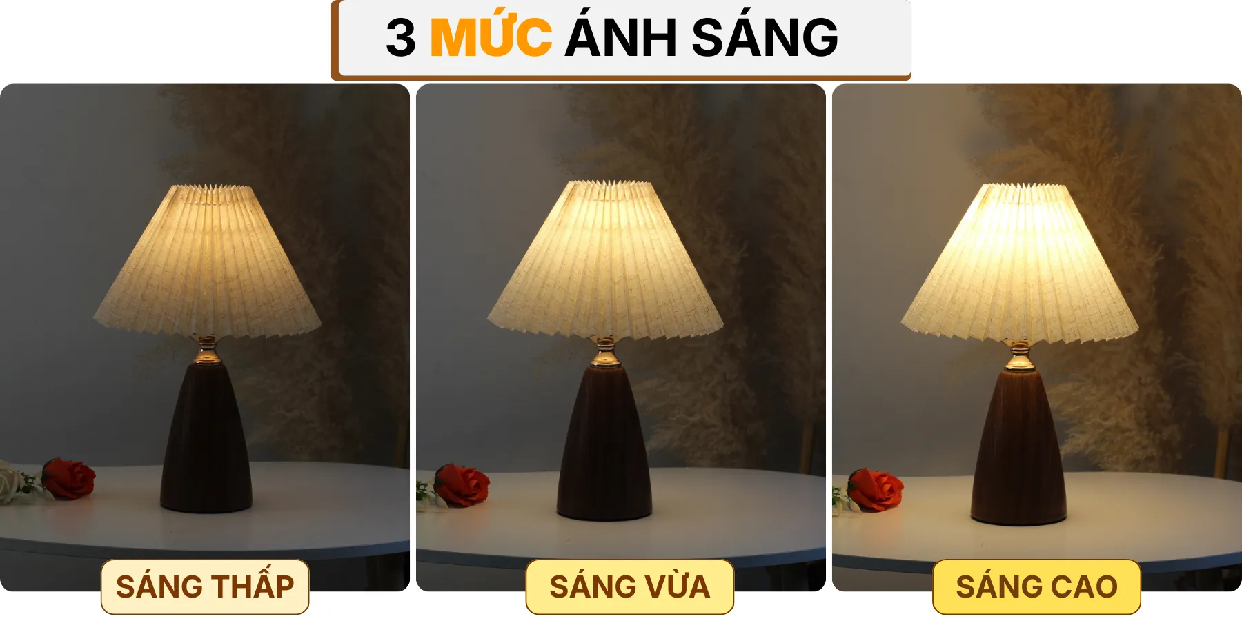 4. HIỆU ỨNG ÁNH SÁNG ĐÈN NGỦ ĐỂ BÀN T10