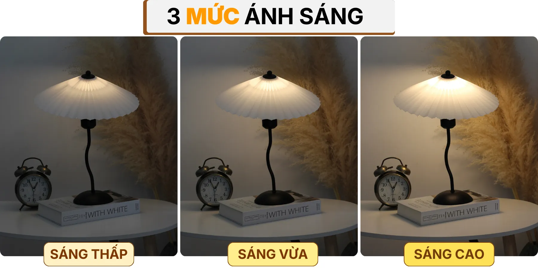 4. HIỆU ỨNG ÁNH SÁNG ĐÈN NGỦ ĐỂ BÀN T11