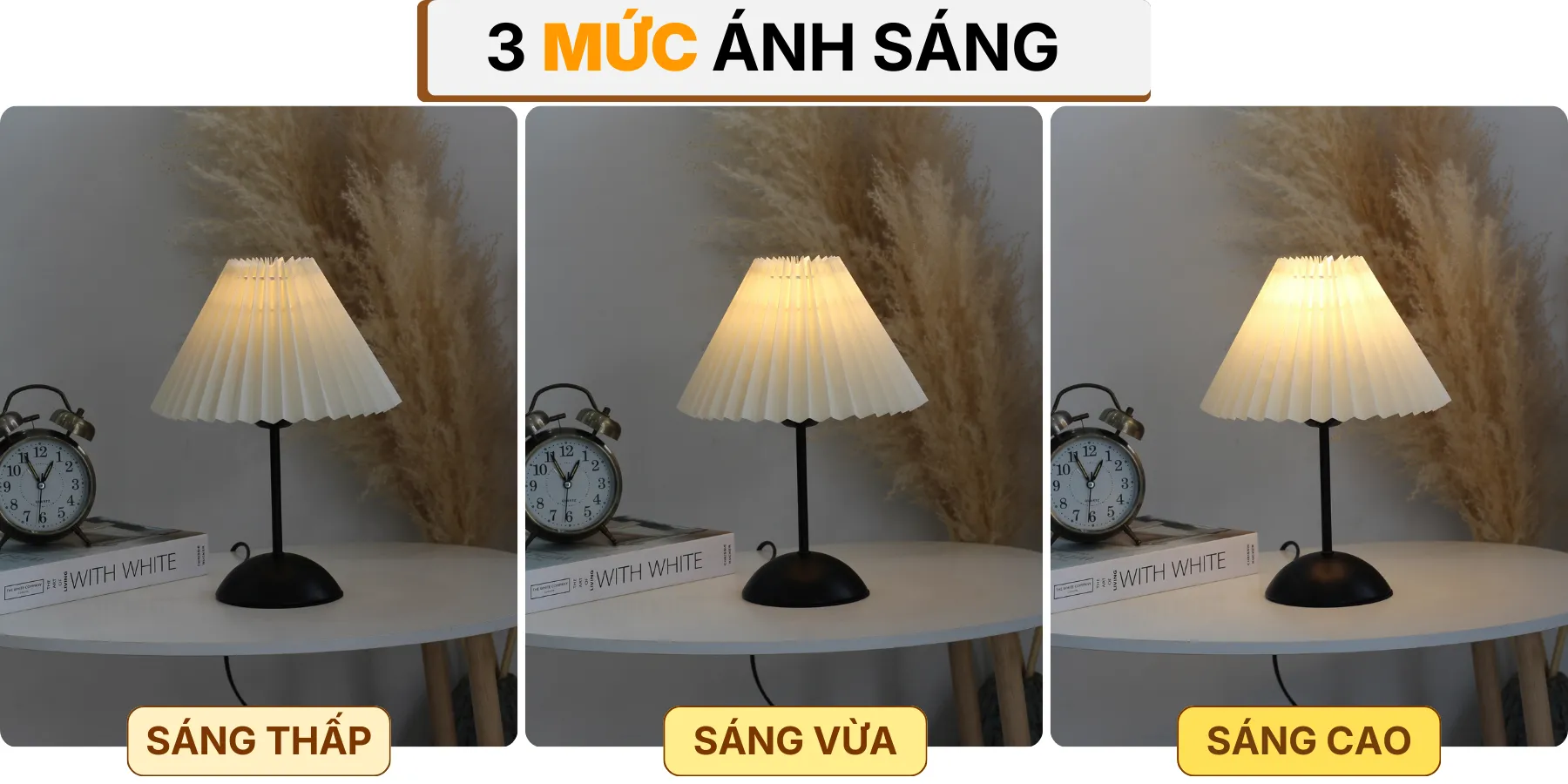 4. HIỆU ỨNG ÁNH SÁNG ĐÈN NGỦ ĐỂ BÀN T13