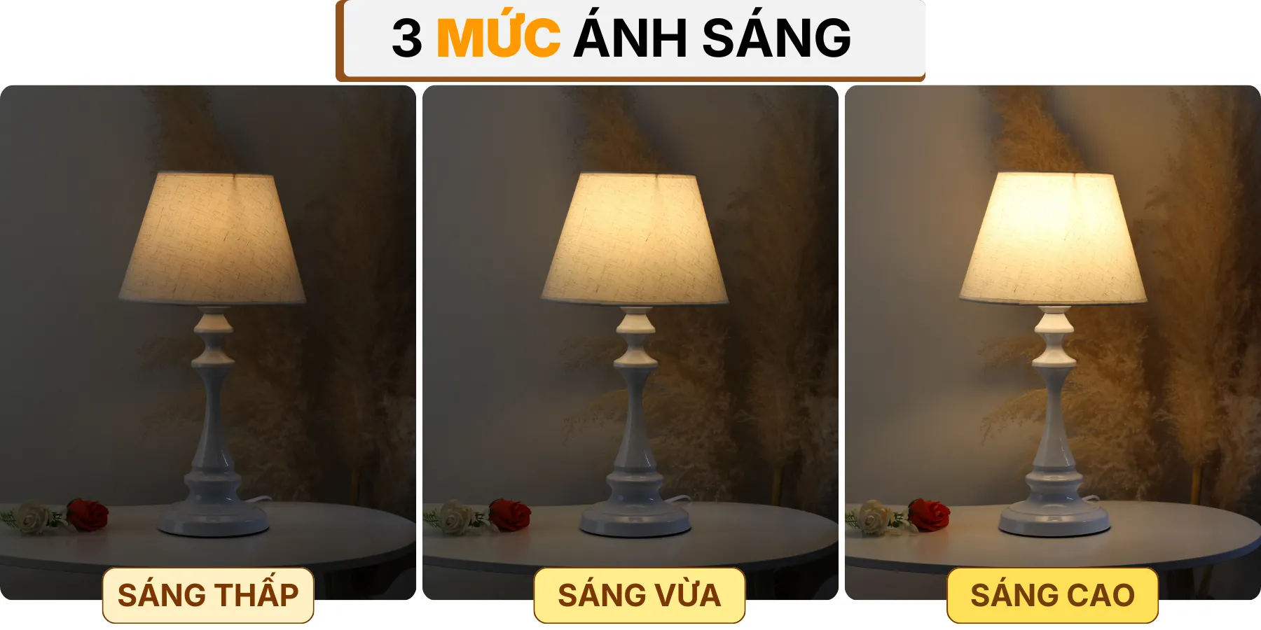 4. HIỆU ỨNG ÁNH SÁNG ĐÈN NGỦ ĐỂ BÀN T2