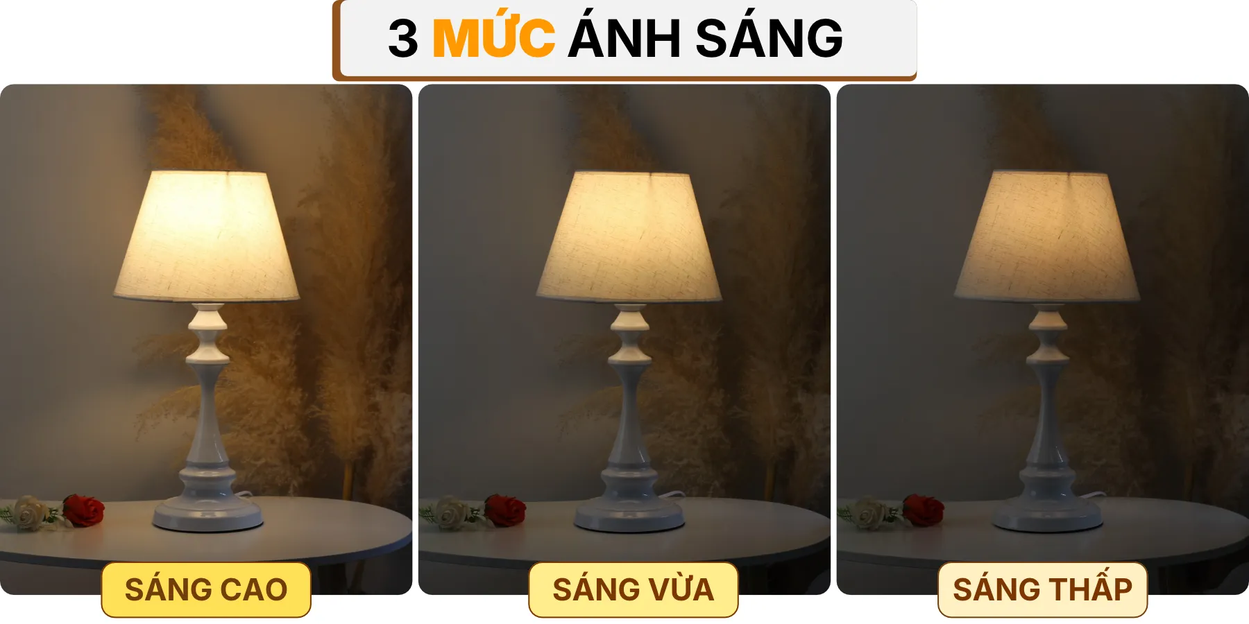 4. HIỆU ỨNG ÁNH SÁNG ĐÈN NGỦ ĐỂ BÀN T2