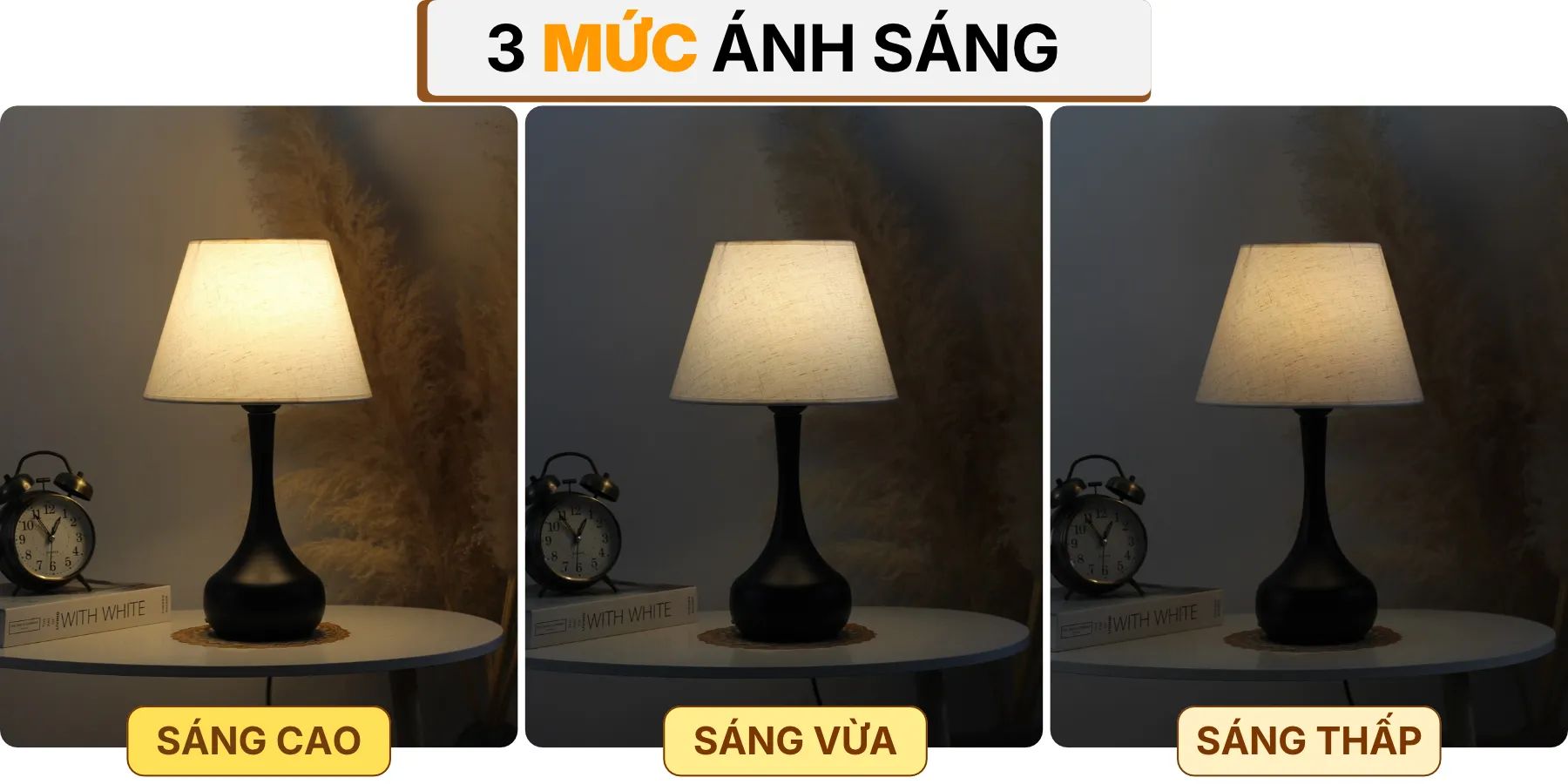 4. HIỆU ỨNG ÁNH SÁNG ĐÈN NGỦ ĐỂ BÀN T3