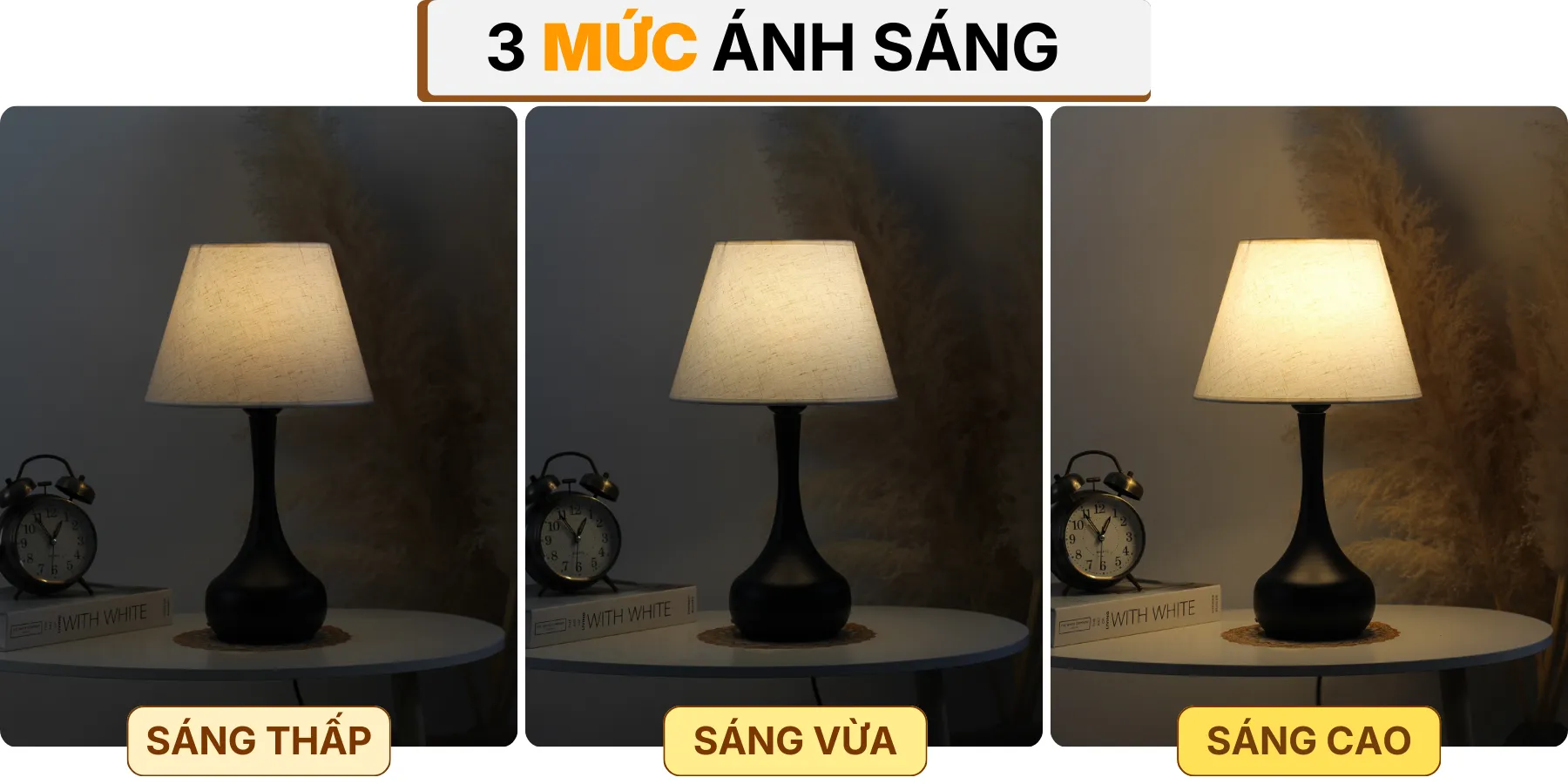 4. HIỆU ỨNG ÁNH SÁNG ĐÈN NGỦ ĐỂ BÀN T3