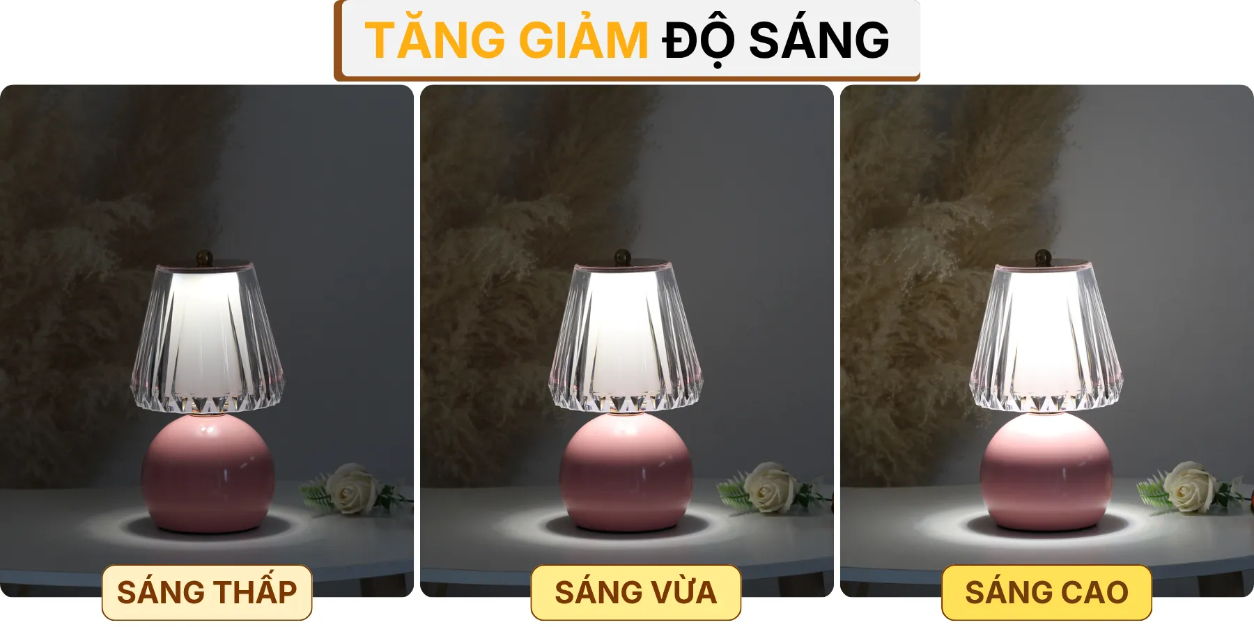 4. HIỆU ỨNG ÁNH SÁNG ĐÈN NGỦ ĐỂ BÀN T12