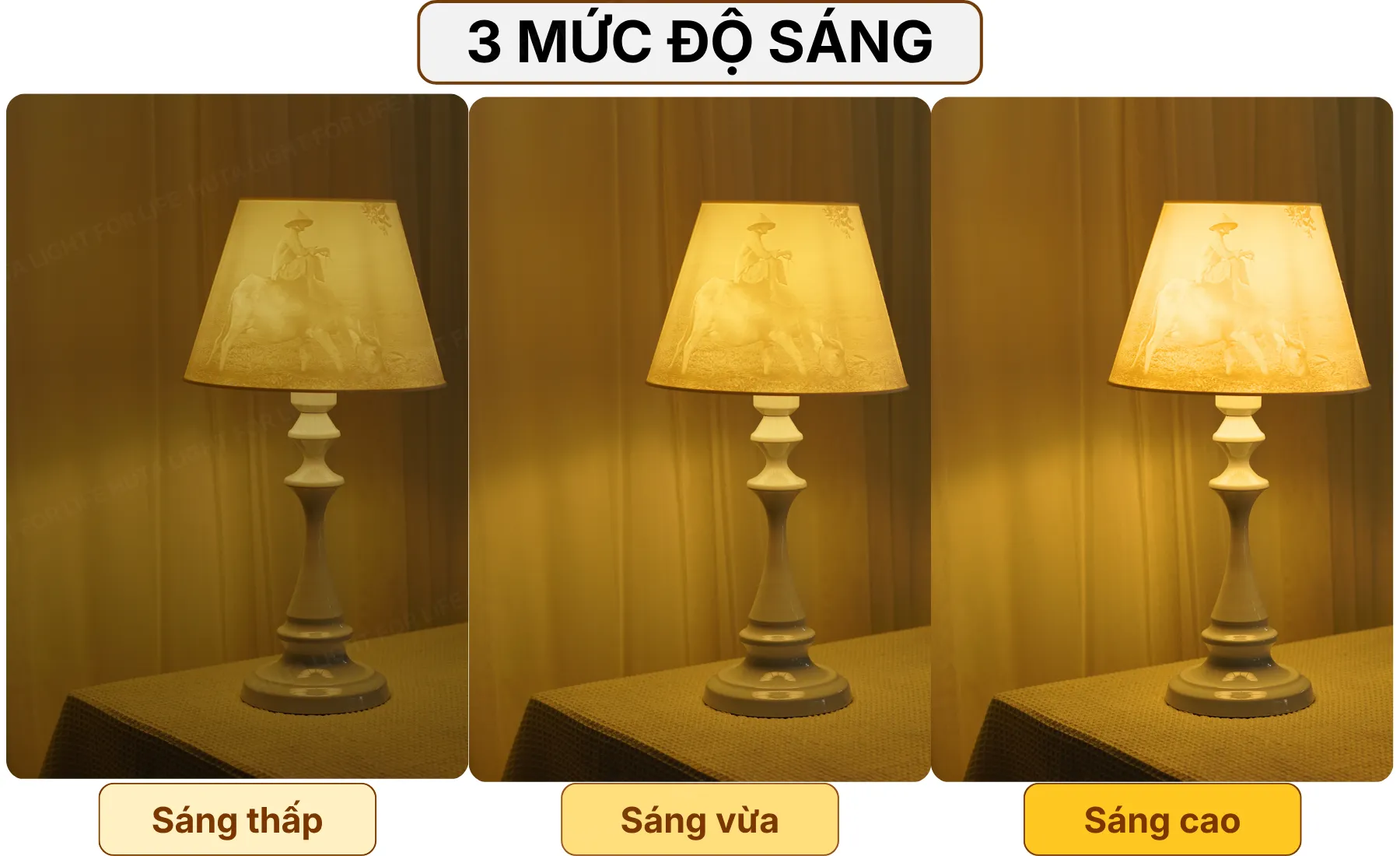 4. HIỆU ỨNG ÁNH SÁNG ĐÈN NGỦ IN 3D T2