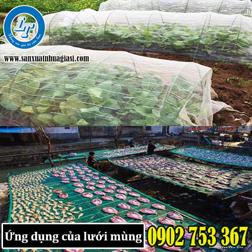 Tùy theo từng mục đích mà lựa chọn lưới cho phù hợp